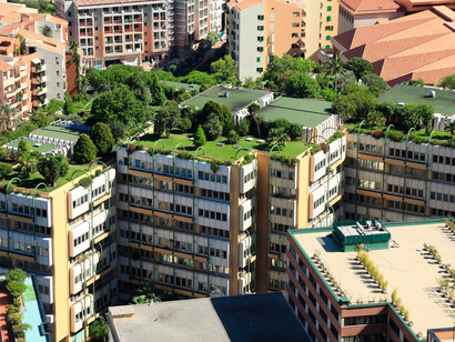 Vegetation on a building site, Monte Carlo