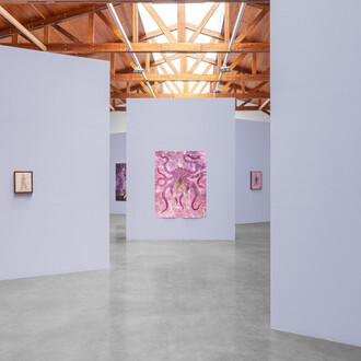 Felipe Baeza, To feel a then and there, exhibition view. Courtesy of kurimanzutto