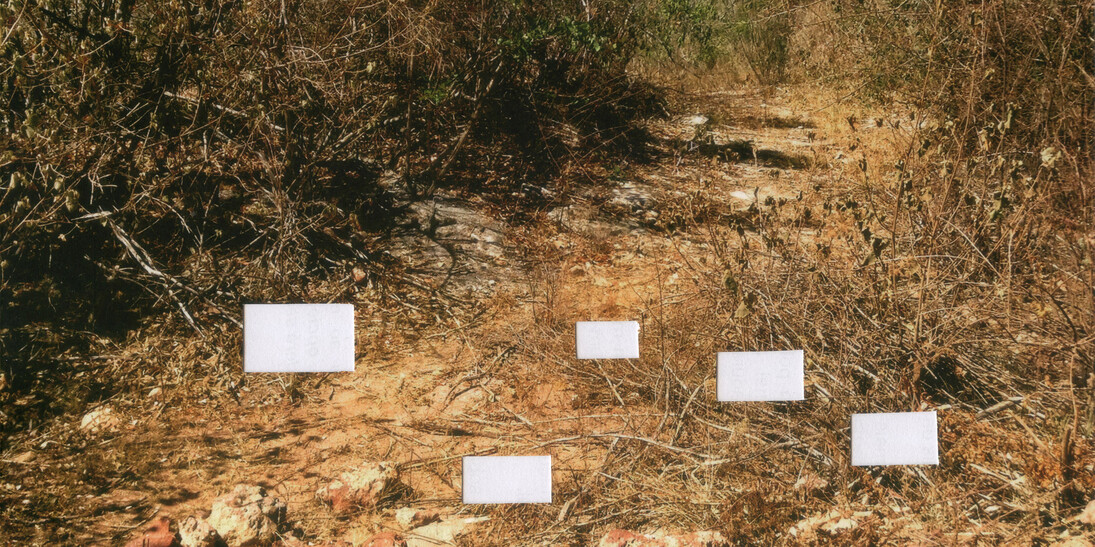 Postcards from Brazil. Courtesy of Casa Nova Arte e Cultura Contemporanea
