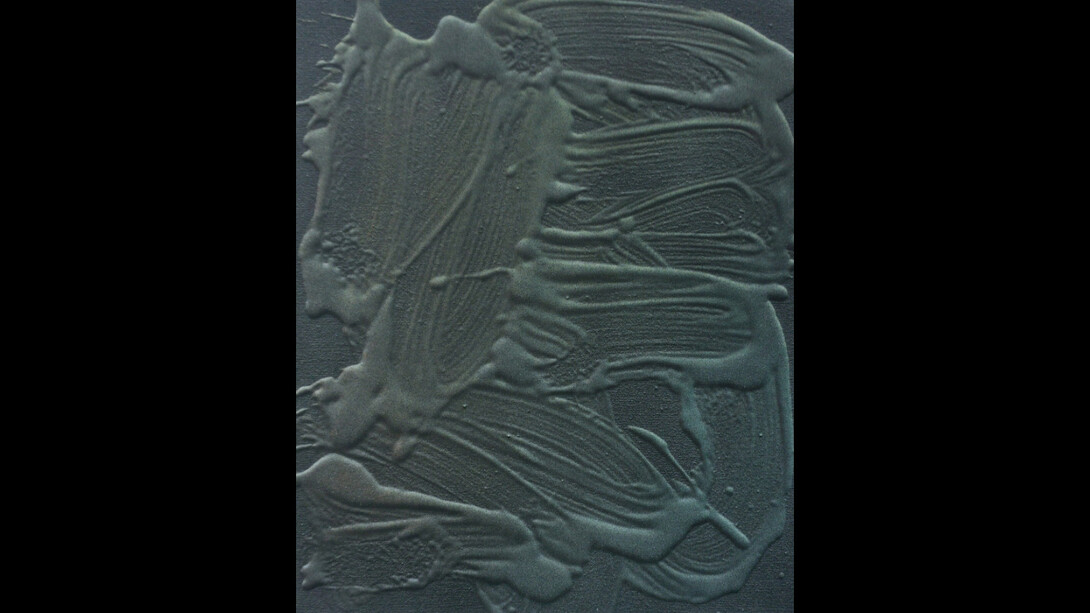 Absent Reality. Courtesy of BC Gallery