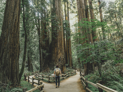 Two roads in a forest: to face confusion and guilt is to be human