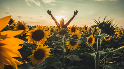 A person standing in a field of sunflowers, basking in the warmth of the sun, surrounded by nature's beauty