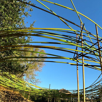 Philip Krohn and Auxart, Hawks and doves, exhibition view. Courtesy of Di Rosa Gallery