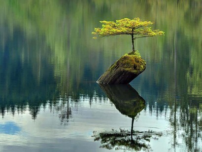 La meditazione insegna a stare con le stagioni
