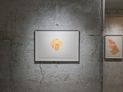 Zheng Mahler, Mushroom clouds, exhibition view. Courtesy of PHD Group