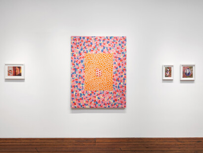 Jim Richard, Installation view
