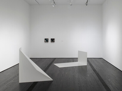 Contemporary Focus: Leslie Hewitt. Courtesy of Menil