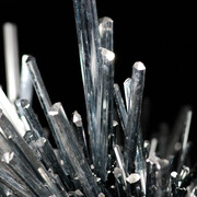 Grand Gallery. Courtesy of American Museum of Natural History