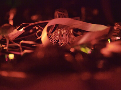 Robin Meier, SYNCHRONICITY, 2015. Courtesy de l’artiste et de la Commission d'Art Audemars Piguet