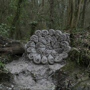 LOOP Fair. Ram (still del vídeo)de Daniel Dewar (Reino Unido, 1976) y Grégory Gicquel (Francia, 1975). Loevenbruk Gallery de París.