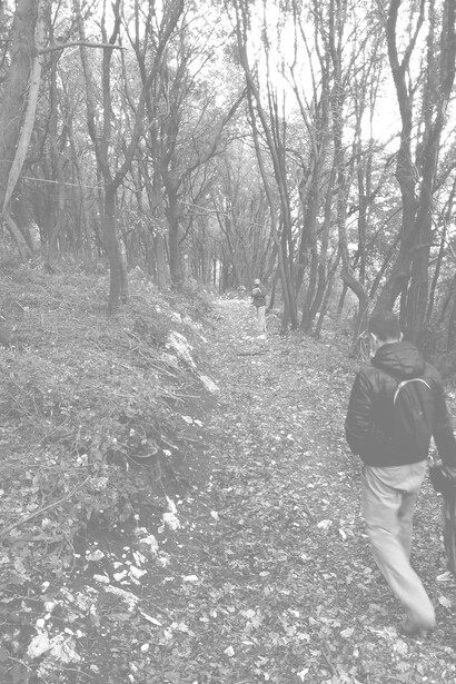 Il comune di Amelia sta realizzando un progetto per creare una rete di sentieri