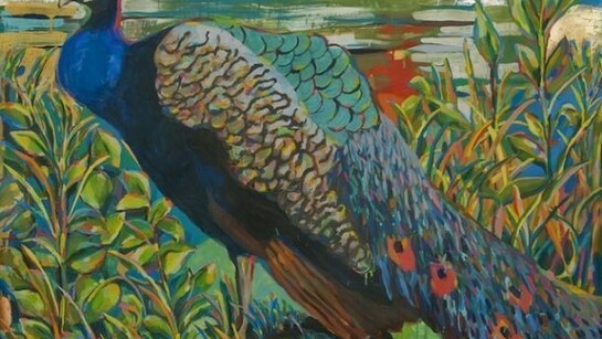 Karen Heagle, Peacock, 2013, acrylic, ink, and collage on paper, 43 1/2 x 52 inches