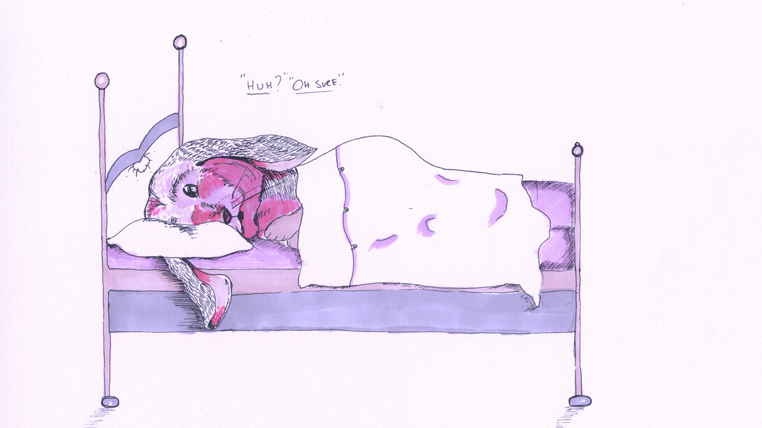 Misha Zaccour, Frankie & Boo