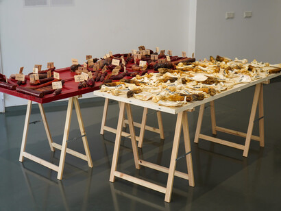 Varios artistas, Corpus. Notas sobre escultura, movimiento y performatividad, vista de exhibición. Cortesía de la galería Alarcón Criado