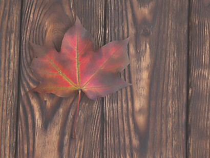 A red colored maple leaf on a brown wooden background