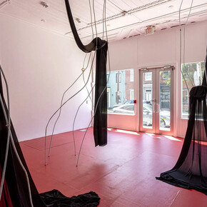 Vivian Caccuri, I hear my blood singing, exhibition view. Courtesy of Mattress Factory
