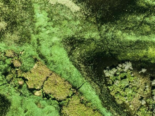 Zack Seckler, Okavango Swirl 2010