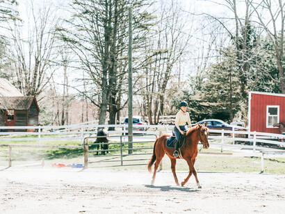 A woman riding a horse. Pick a new sport or hobby, and unwind, exercise