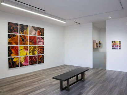 Gail Roberts, Natural selection, exhibition view. Courtesy of Quint Gallery