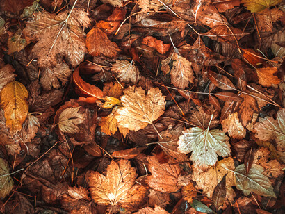 Habíamos despertado enzarzados, mientras la lluvia cubría las ventanas en París o cuando el mar Caribe nos iluminaba hechizados por Yemayá