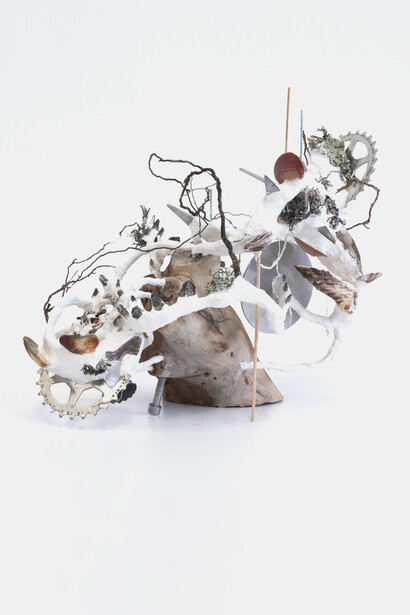 Camilla Alberti, Unbinding Creatures, Organismo 4, 2020