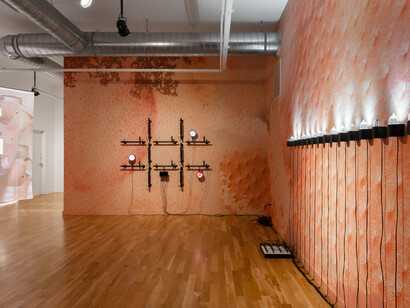 Tromarama, Auto ally, exhibition view. Courtesy of Document Gallery