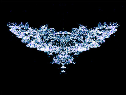 Entropia