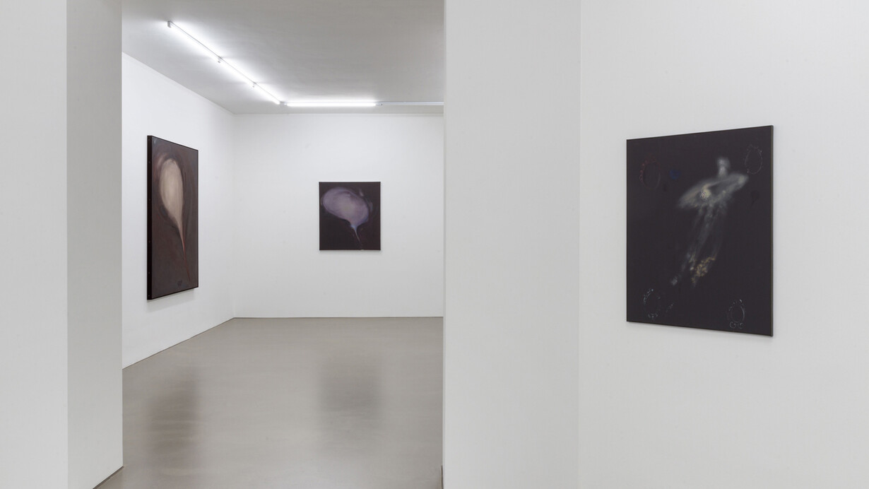 Courtesy Galerie Guido W. Baudach; Berlin
Photo: Roman März