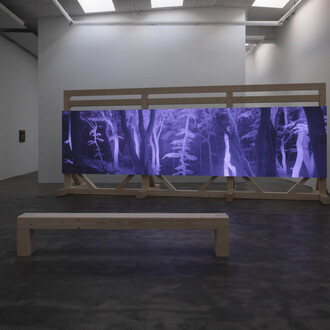 Jesper Just, Interoceptions, exhibition view. Courtesy of Galleri Nicolai Wallner 