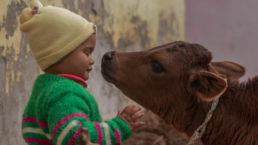 Humanity naturally experiences deep feelings of love and profound gratitude