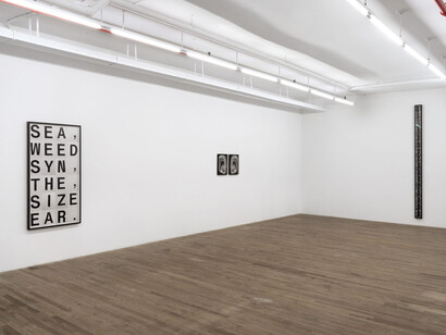 Shannon Ebner, The seaweed synthesizer, exhibition view. Courtesy of kaufmann repetto