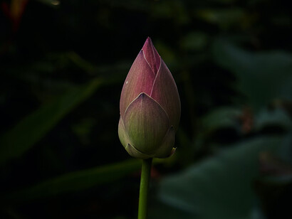 Si è testata addirittura la riduzione di alcune malattie psicosomatiche con la pratico dello Yoga Nidra