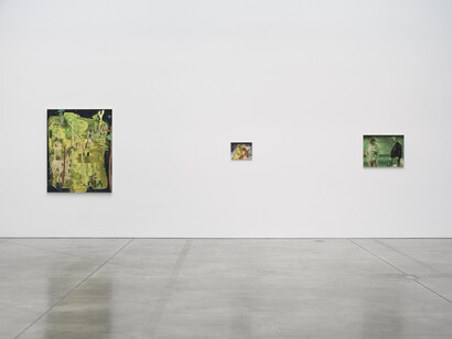 Salman Toor, Wish Maker, exhibition view at Luhring Augustine Chelsea. Courtesy of Luhring Augustine