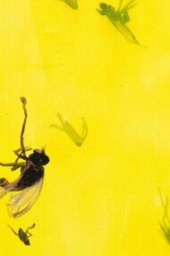 Jaan Toomik, Flies (2022), acrilico su tela, 80 x 120 cm