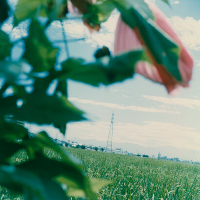 In the Blink of an Eye 1996 - 2009. Courtesy of Miyako Yoshinaga