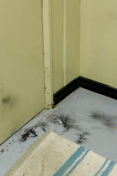 Felipe Romero Beltrán, Dialect, 2022. Courtesy of the artist and Hatch Gallery. © Felipe Romero Beltrán