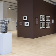 Varios artistas, Memoria muscular: la lente enfocada en el cuerpo, vista de exhibición. Cortesía del Phoenix Art Museum