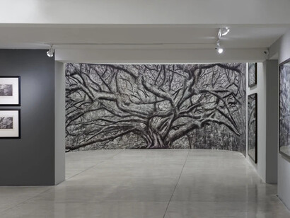 Cássio Vasconcellos, Viagem pitoresca pelo Brasil, vista da exposição. Cortesia da Galeria Nara Roesler