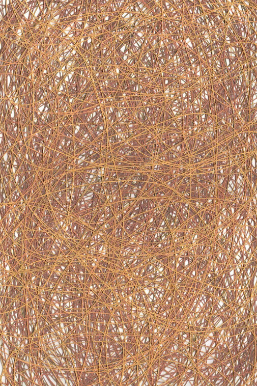 Adam Fowler. Courtesy of Brian Gross Fine Art