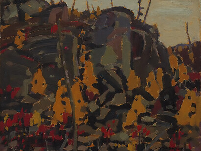 North Shore 1920, Lake Superior, The Thomson Collection at the Art Gallery of Ontario, 2017