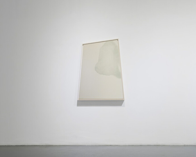 Silky Beauty. Courtesy of Amy Li Gallery