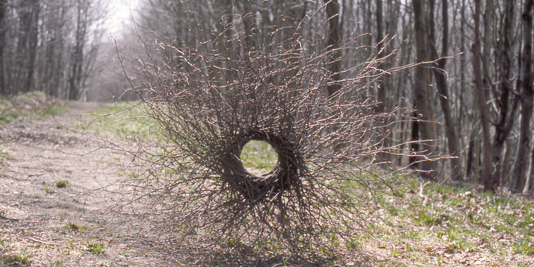 Andy Goldsworthy. Silver Birch. Forms for Hooke Park Hooke Park, Dorset, April, 1986. From New Milestones, Sculpture, Community and the Land. Courtesy of YSP © Jonty Wilde