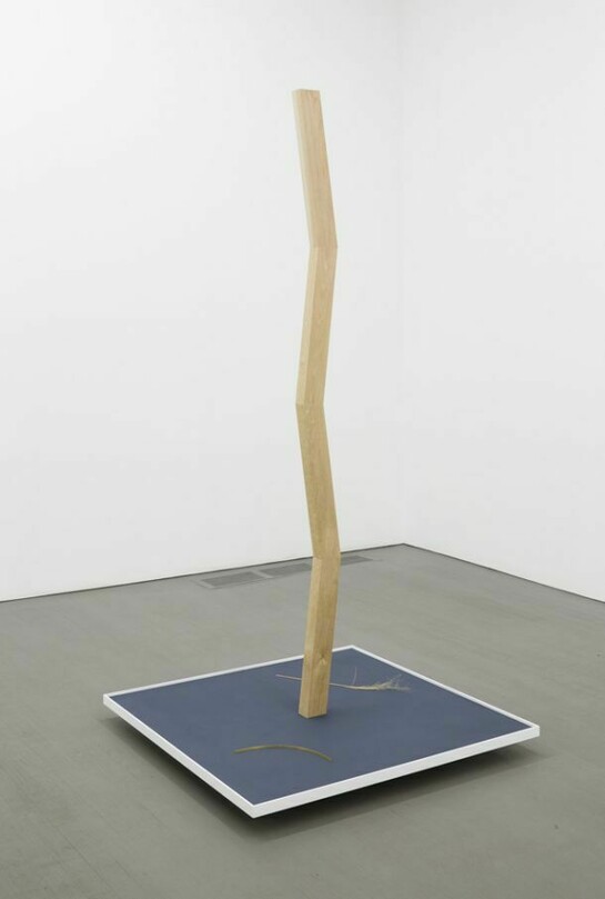 Ned Colclough, Untitled, 2012, Wood, paint, fabric, brass, grass, 74.75 x 36.5 x 36 inches