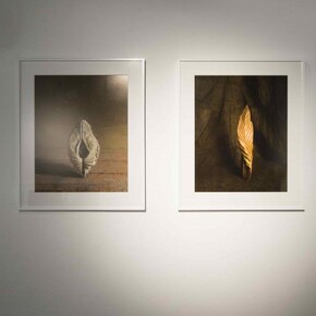 Inside | Outside. Courtesy of Polka Galerie