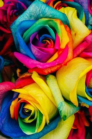 When love dawns then fragility becomes strength 
