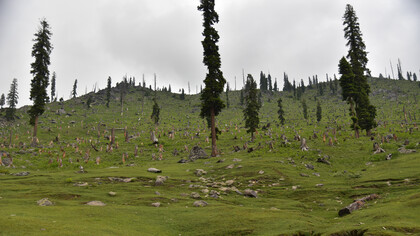 Deforestation in Indian Himalaya, deepening our rift with nature © Ashish Kothari