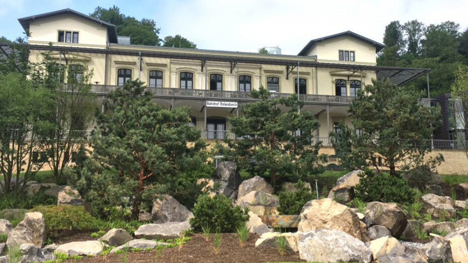 Japan Fever. Courtesy of Arp Museum