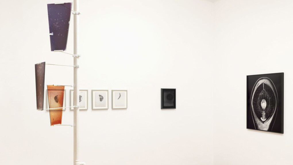 Night Lights. Courtesy of Monica De Cardenas