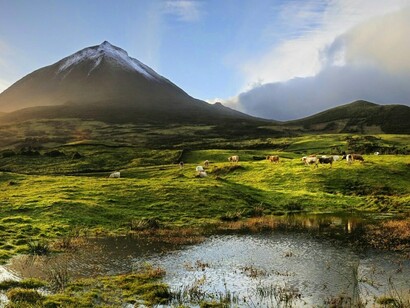 Ilha do Pico, Açores, Portugal
