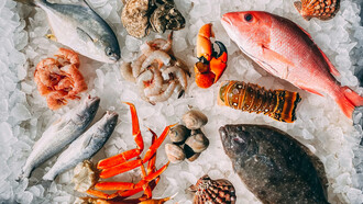 Collection of seafood ingredients on ice